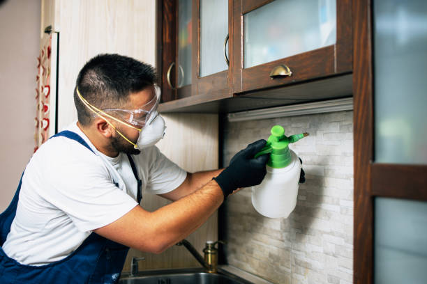 Best Affordable Pest Control Services  in Manitou Beach Devils Lake, MI