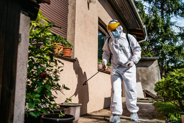 Best Cockroach Control Services  in Manitou Beach Devils Lake, MI