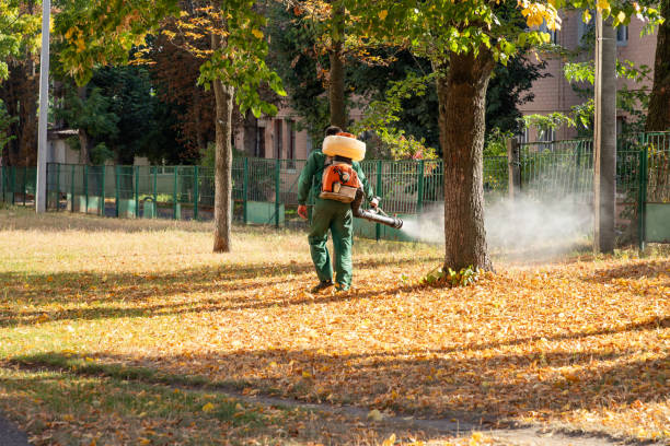 Best Pest Removal Services  in Manitou Beach Devils Lake, MI