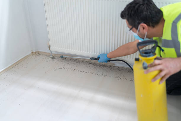 Best Commercial Pest Control Services  in Manitou Beach Devils Lake, MI