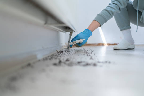 Best Termite Control Services  in Manitou Beach Devils Lake, MI