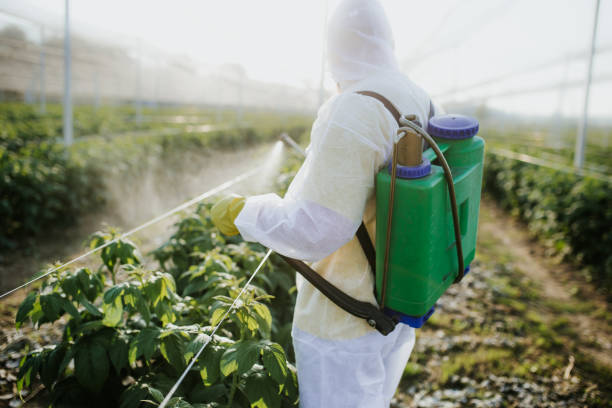 Best Pest Control Near Me  in Manitou Beach Devils Lake, MI